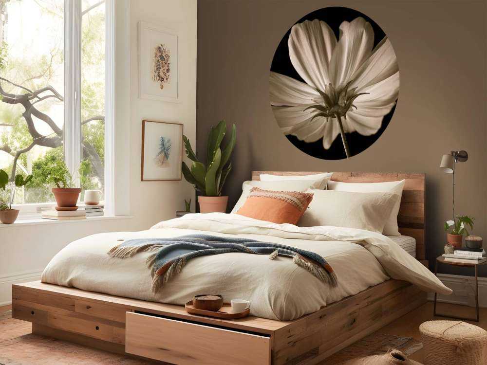 Kwiat kosmosu od dołu