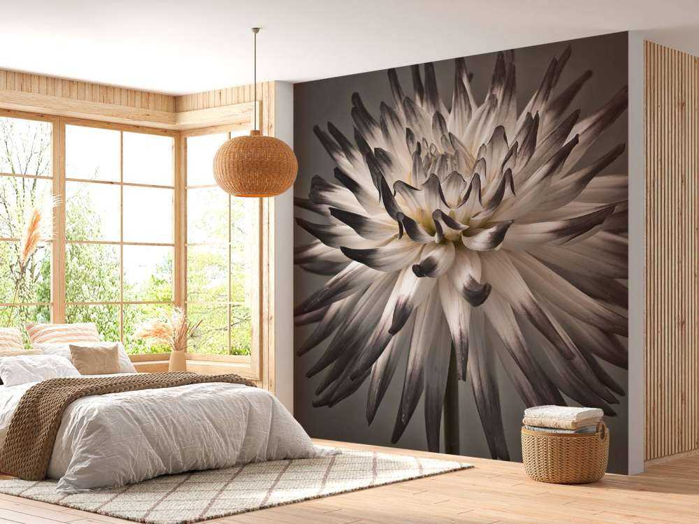 Kwiat dalii czarno-biały