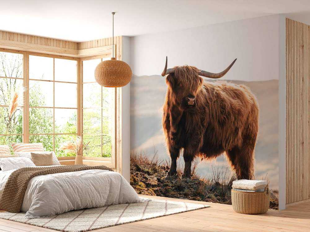 Szkocki wyżyn na wzgórzu