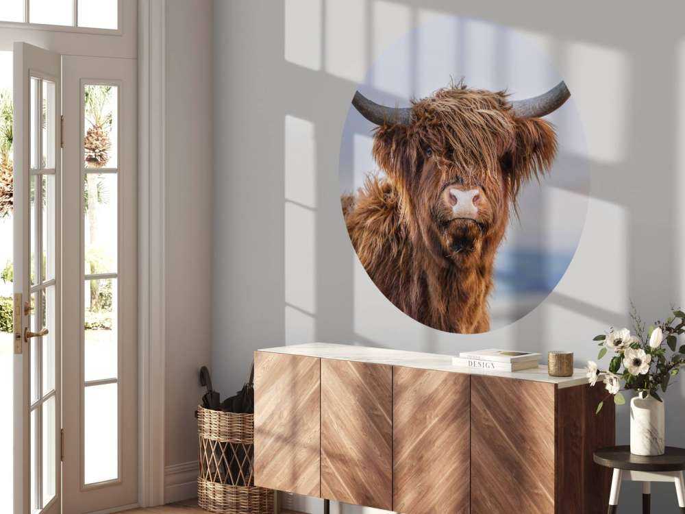 Szkocki wyżyn w roli głównej