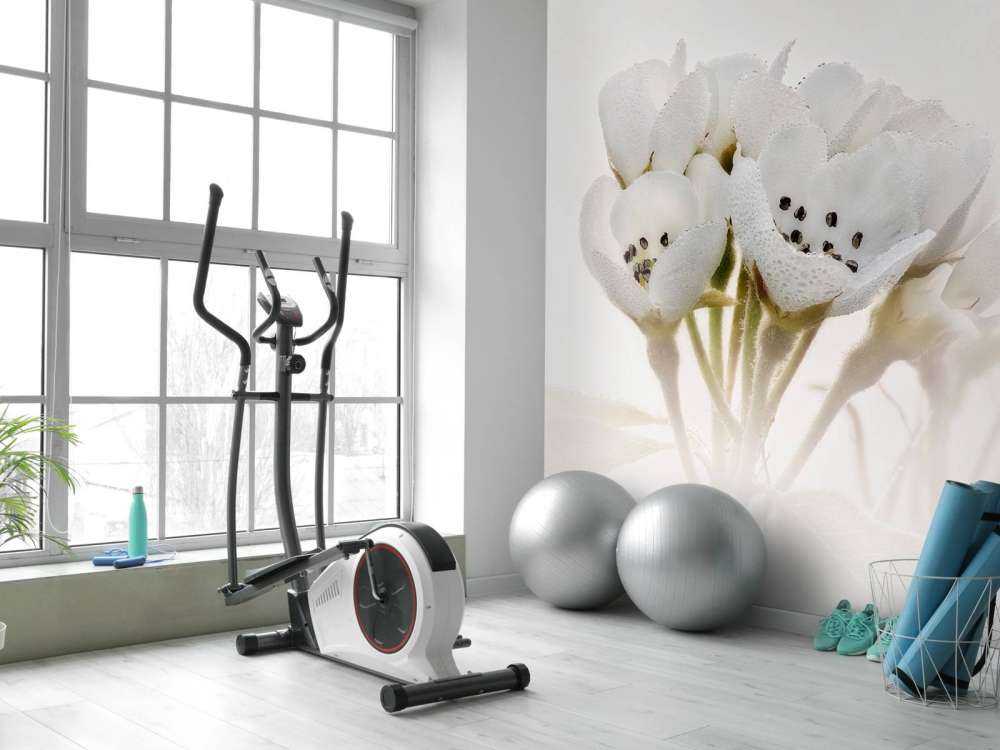 Zbliżenie kwiatu gruszki