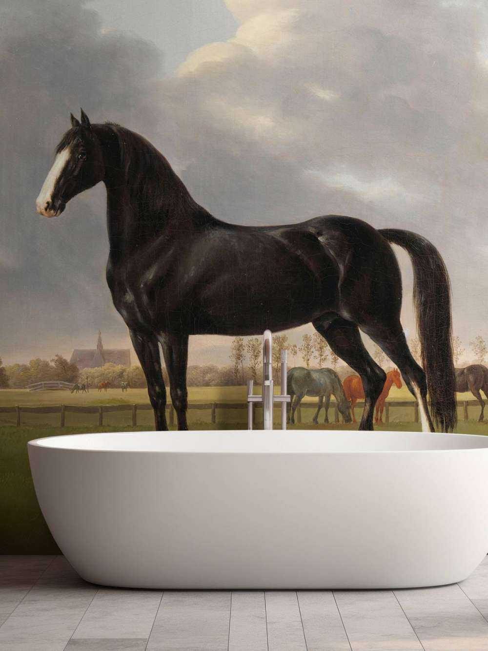 Fototapetowy koń. Szuflada hardwaru De Vlugge