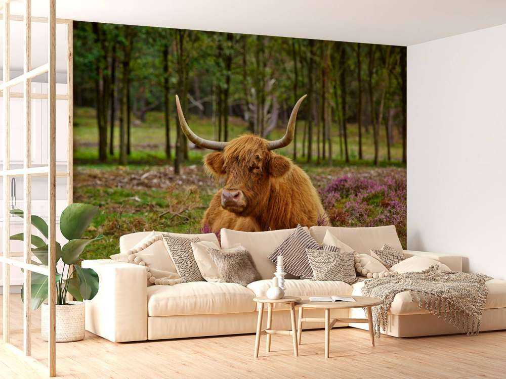 Szkocka rasa wyżynna między purpurowymi wrzosami