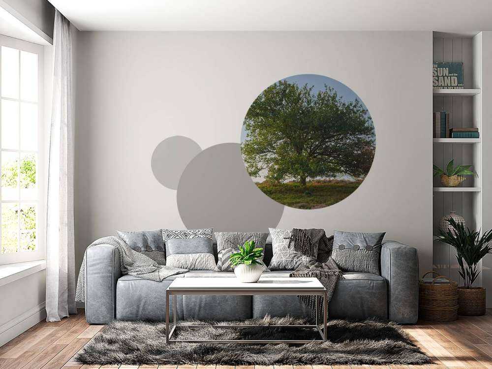 Samotne drzewo na wrzosowisku