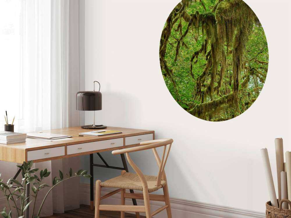 Mchy na gałęziach drzew