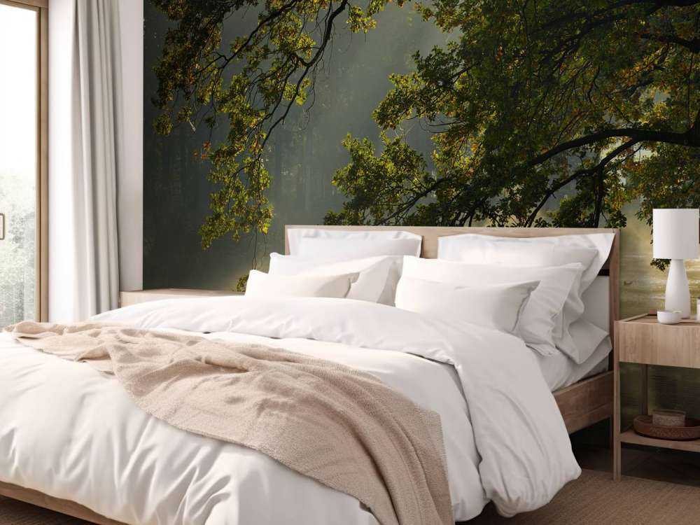 Zwisające gałęzie nad wodą