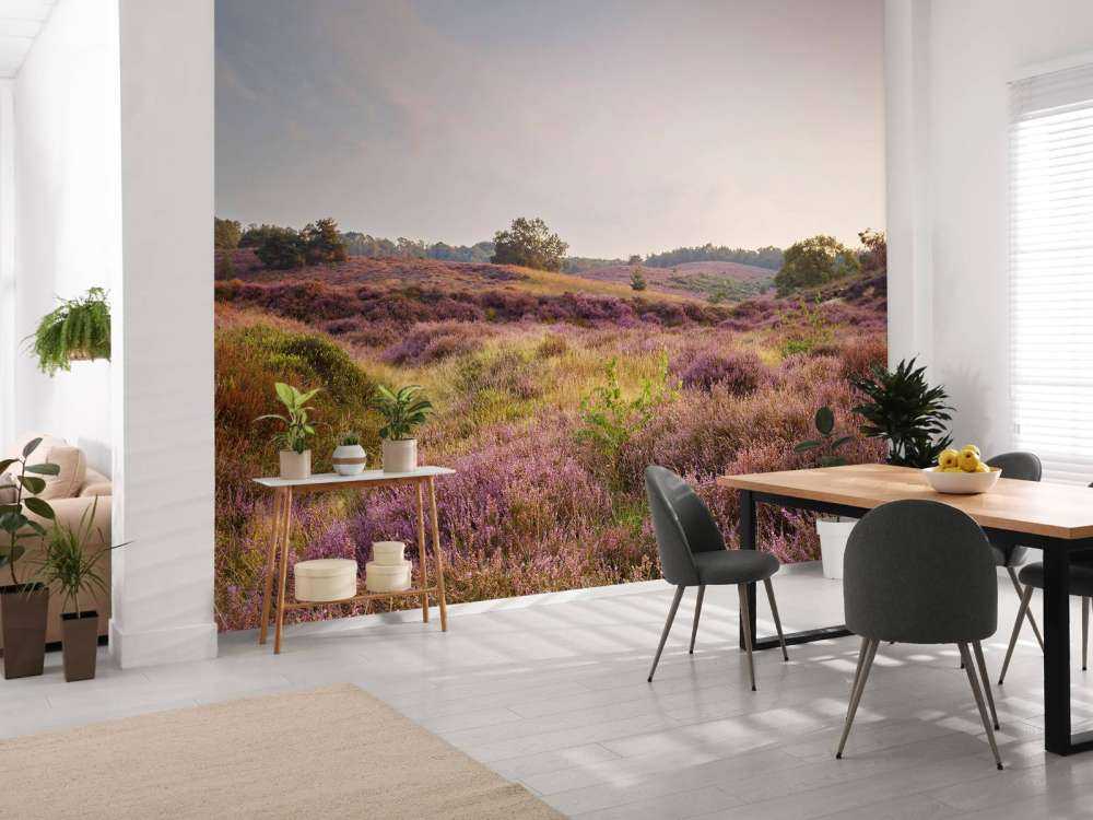 Heathland o wschodzie słońca