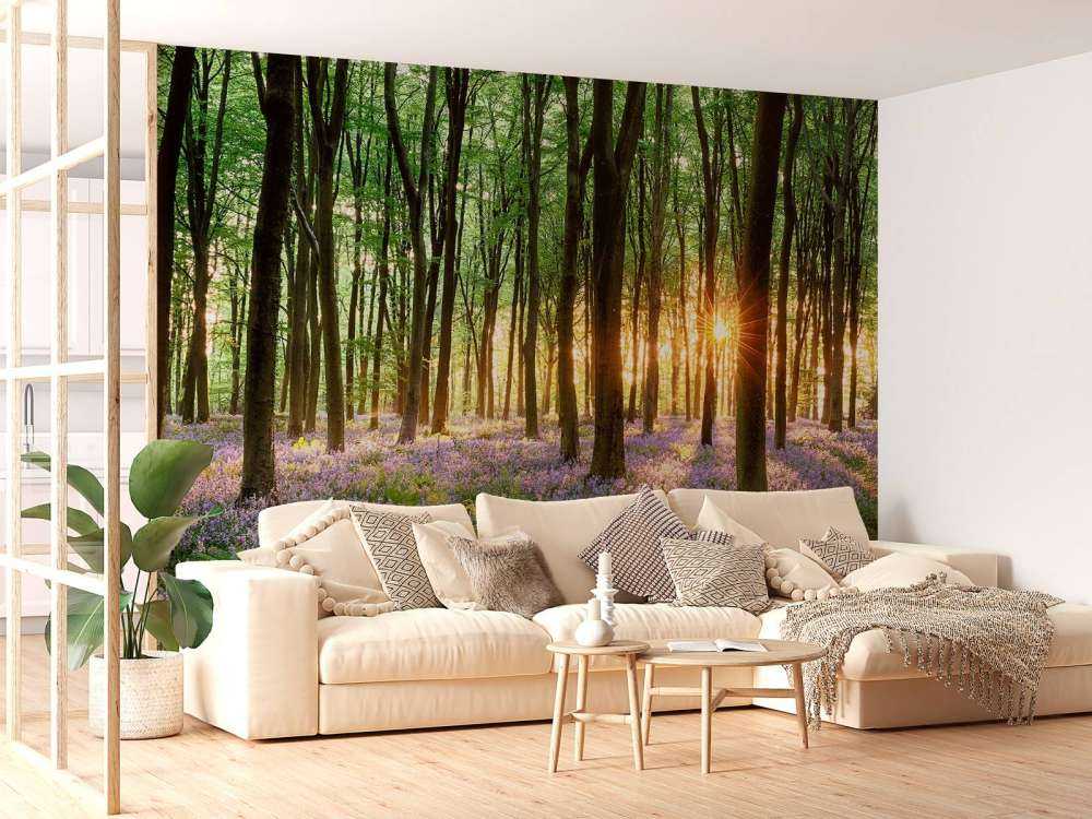 Leśna ścieżka o wschodzie słońca