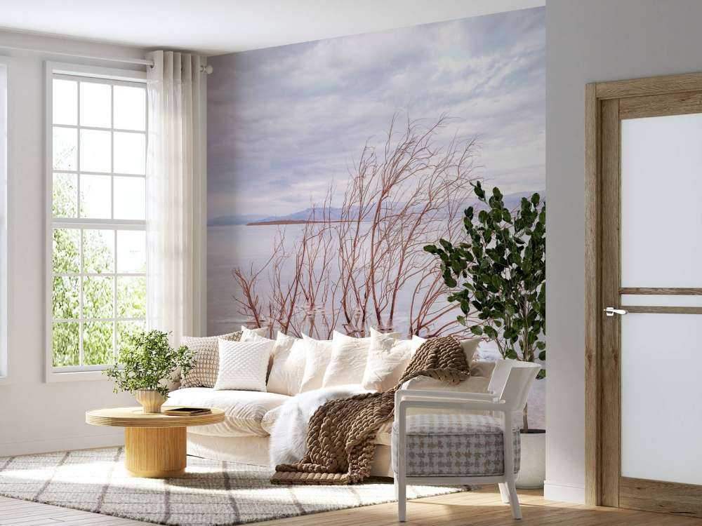 Gałęzie w Morzu Martwym