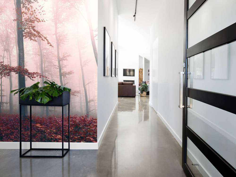 Krajobraz czerwonego lasu