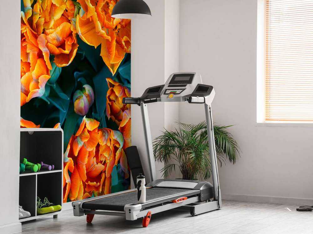 Zbliżenie na pomarańczowe tulipany