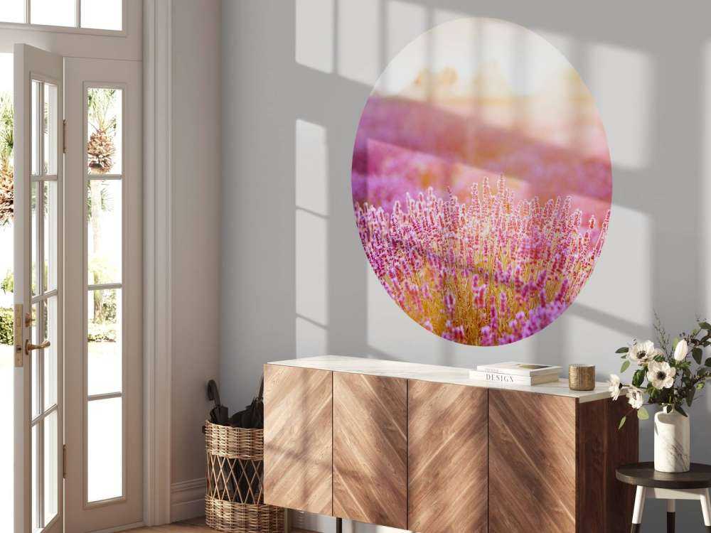 Zbliżenie na kwiaty lawendy