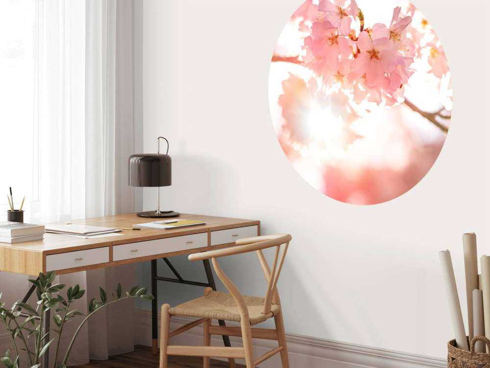 Kwiaty jasnoróżowe