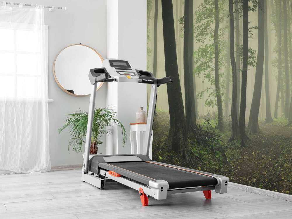 Mgła w zielonym lesie