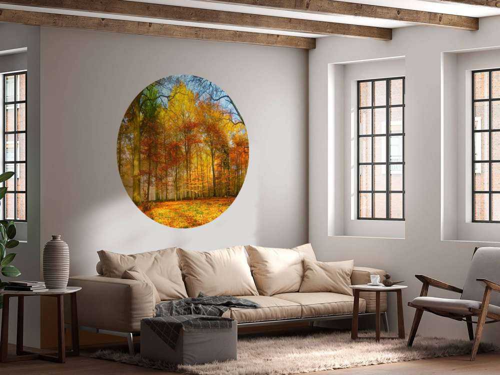 Kolorowa panorama lasu