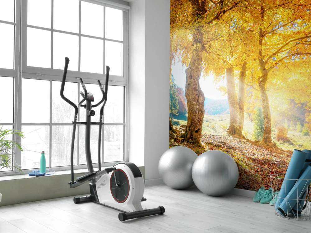 Ciepły jesienny krajobraz