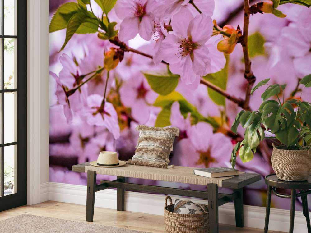 Różowe kwiaty z płatkami