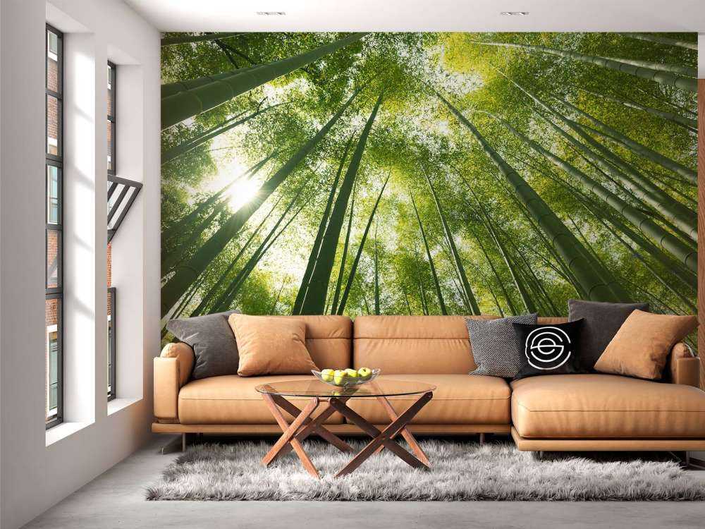 Las bambusowy w Japonii