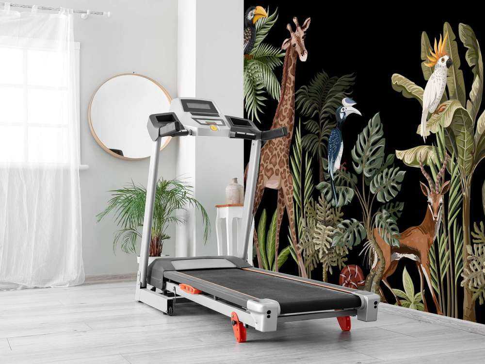 Różne zwierzęta z dżungli