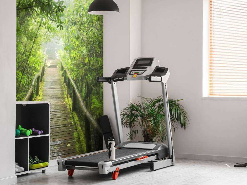 Zielona, mglista dżungla