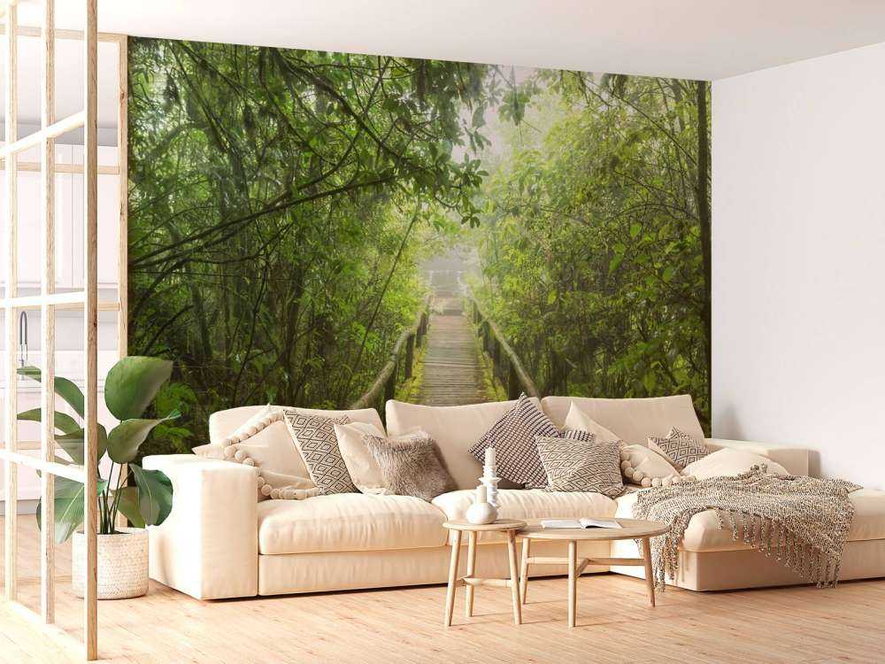 Zielona, mglista dżungla