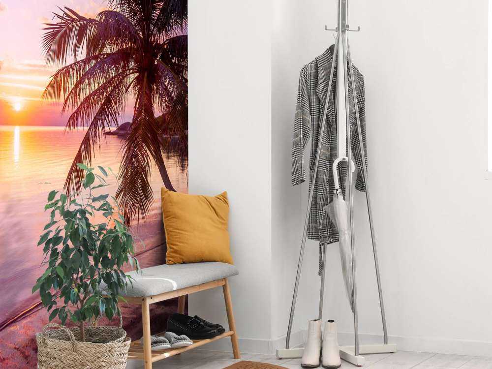 Palma przy zachodzie słońca