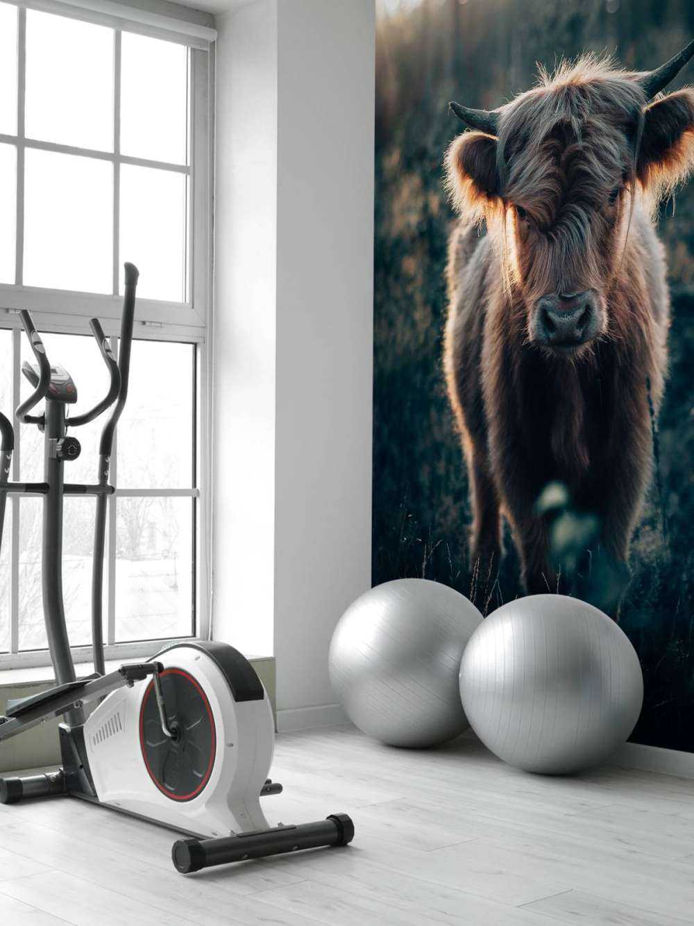 Młody szkocki wyżyn 