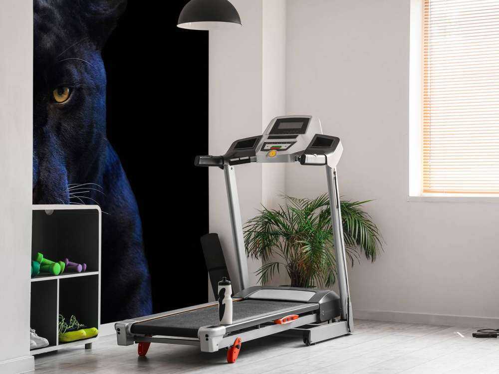 Zbliżenie na panterę