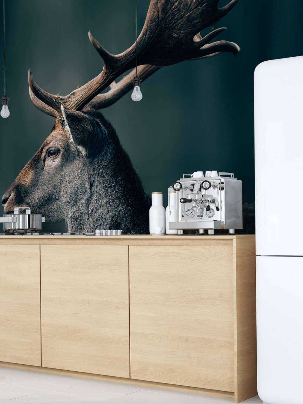 Jeleń daniel zbliżenie