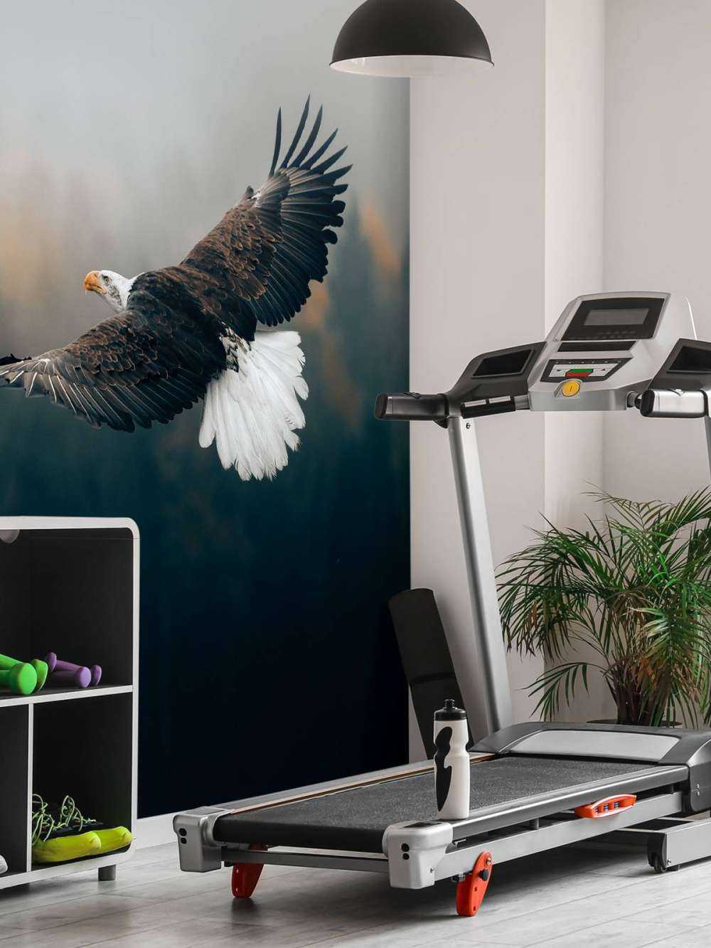 Orzeł przedni nad lasem