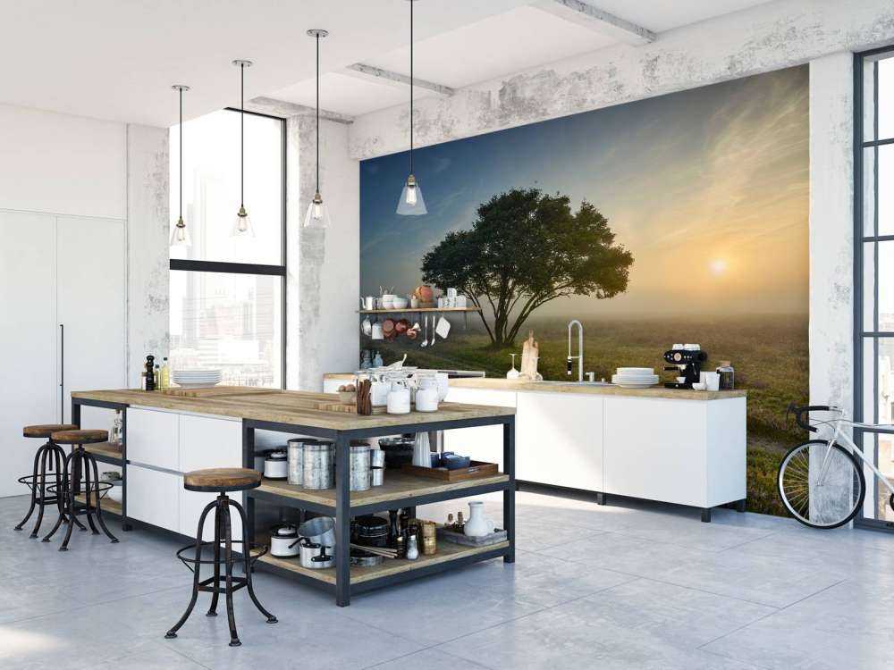 Wschód słońca na wrzosowisku