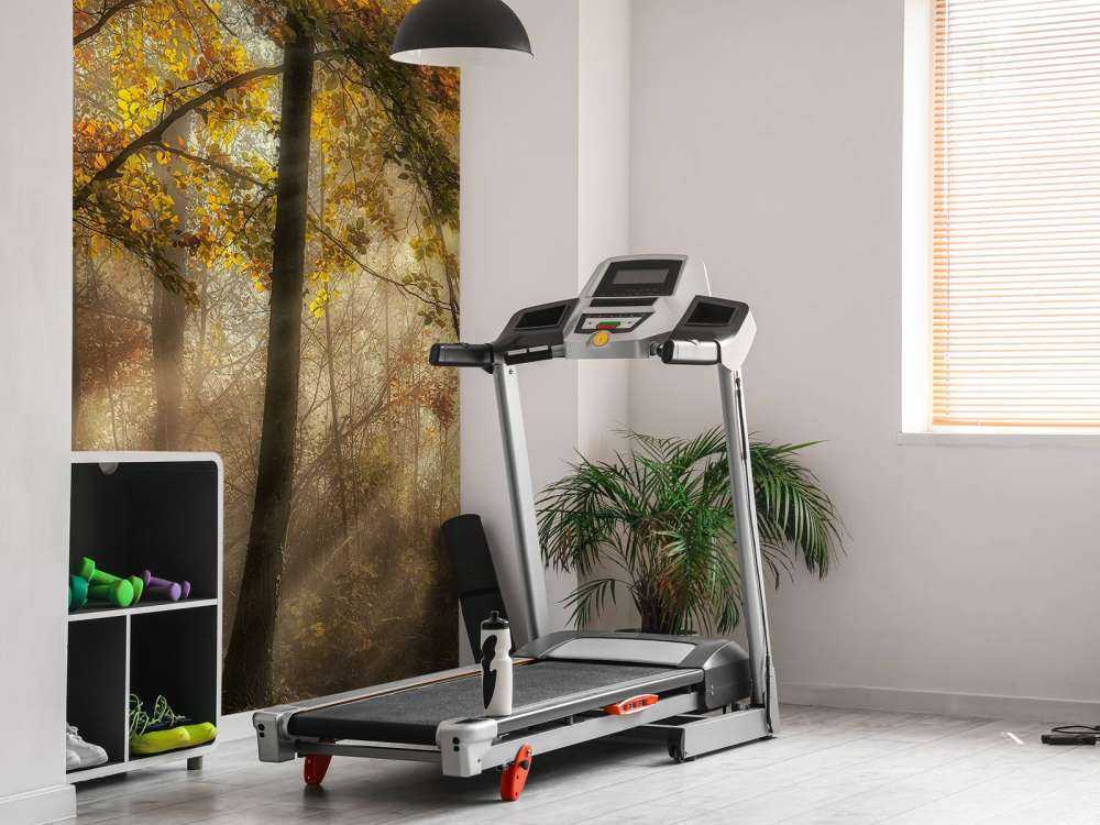 The lights of the forest