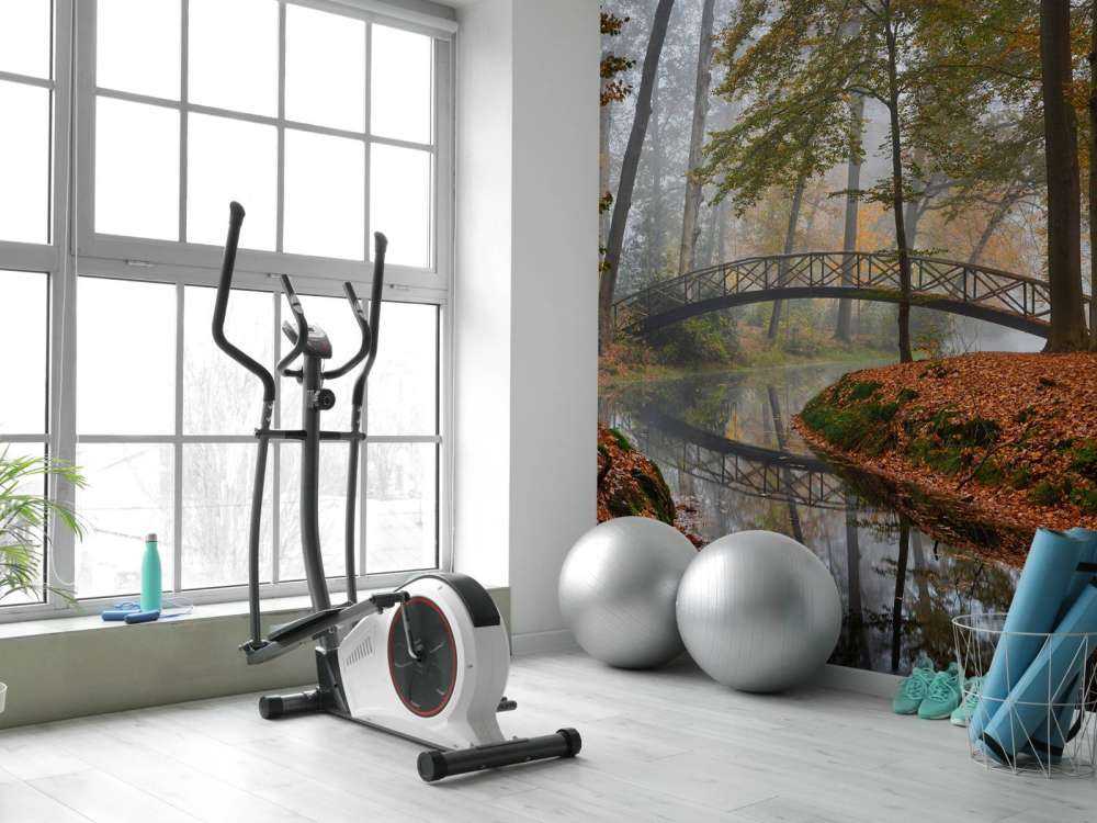 Most w jesiennym lesie