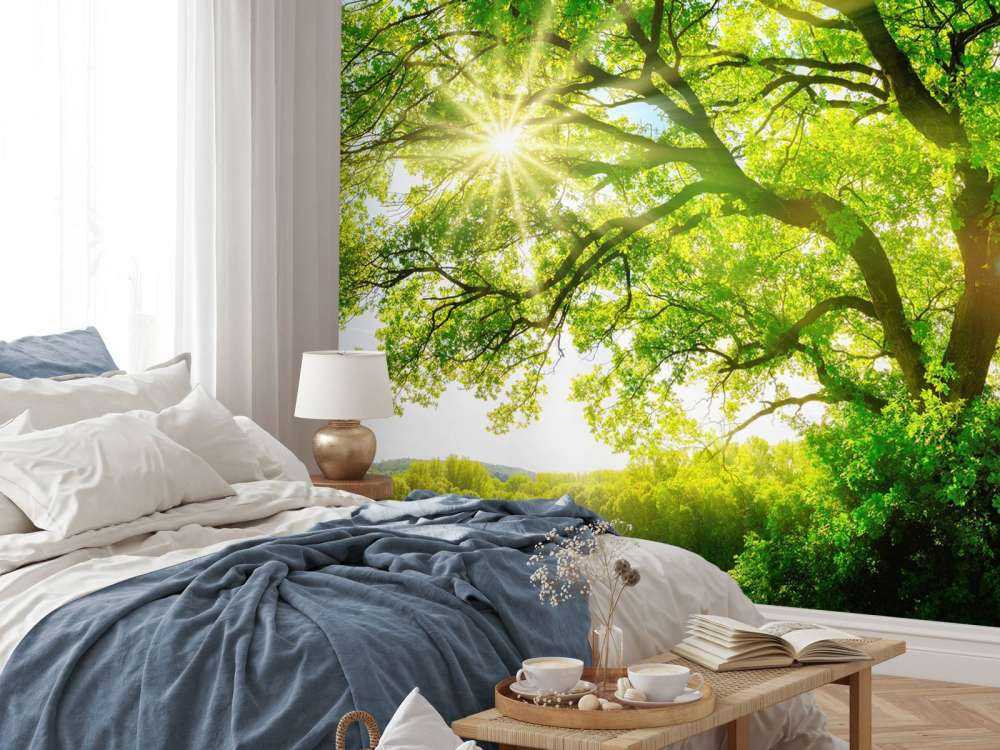 Drzewo z promieniami słońca