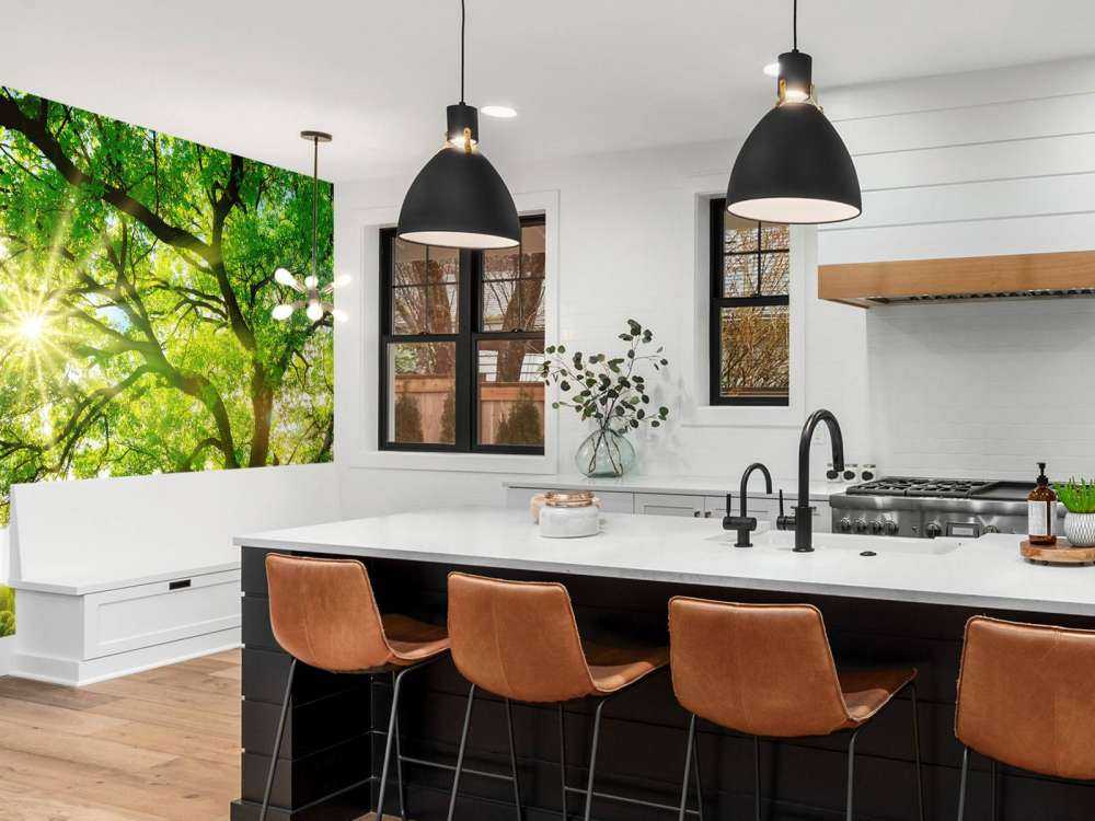 Drzewo z promieniami słońca