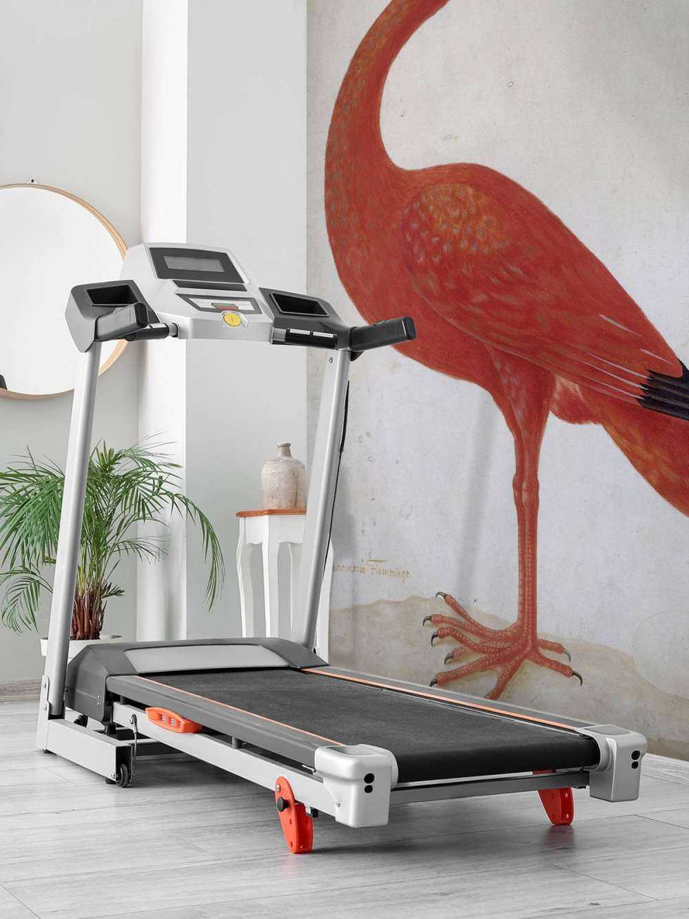 Czerwony Ibis z jajkiem