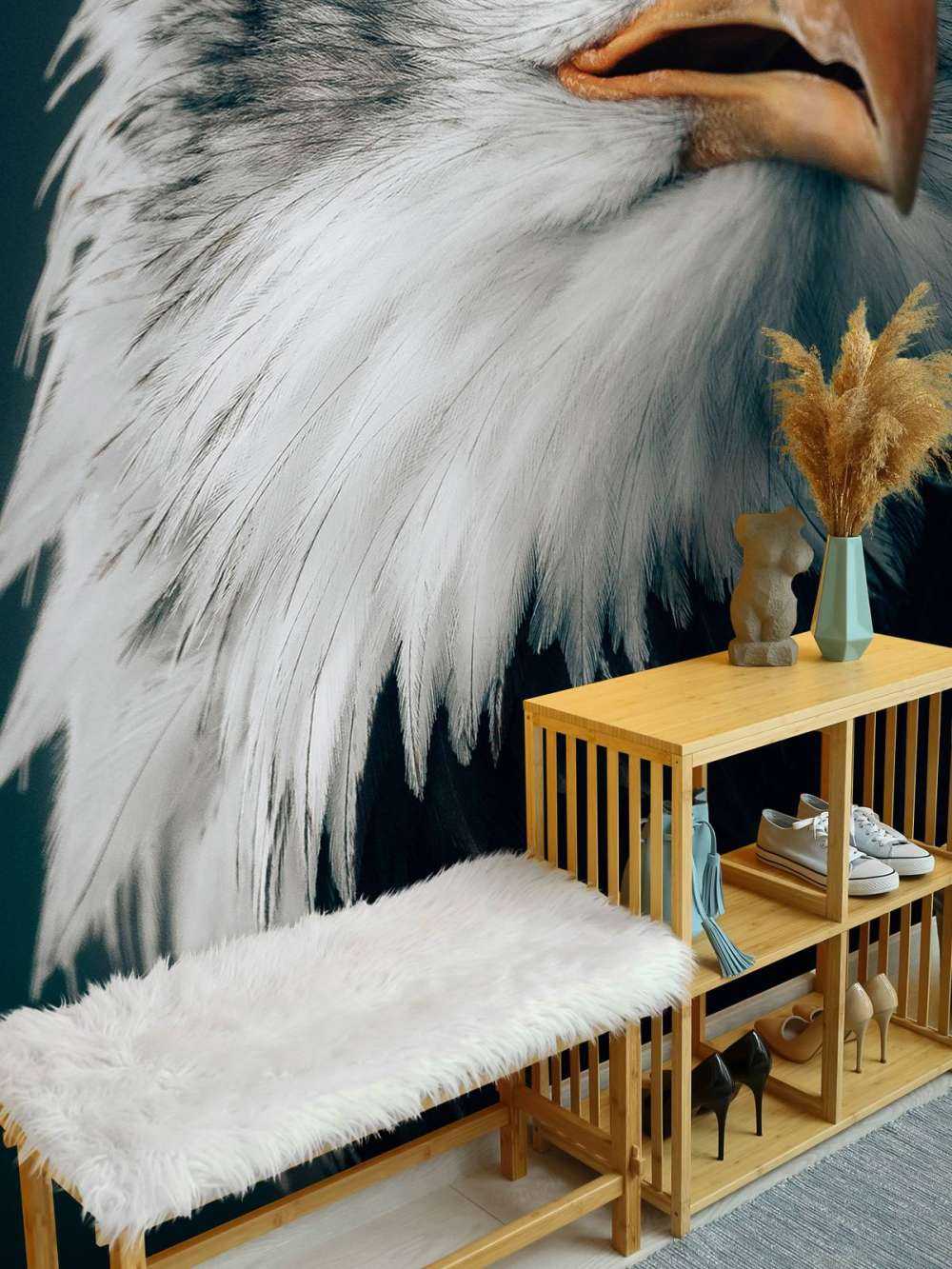 Spoglądający orzeł morski