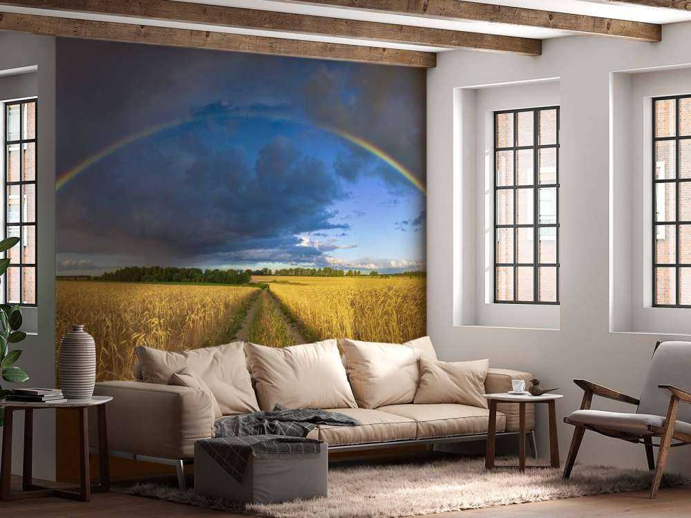 Tęcza nad polem pszenicy