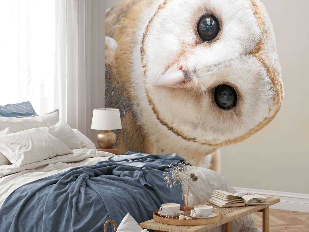 Sowa z przechyloną głową