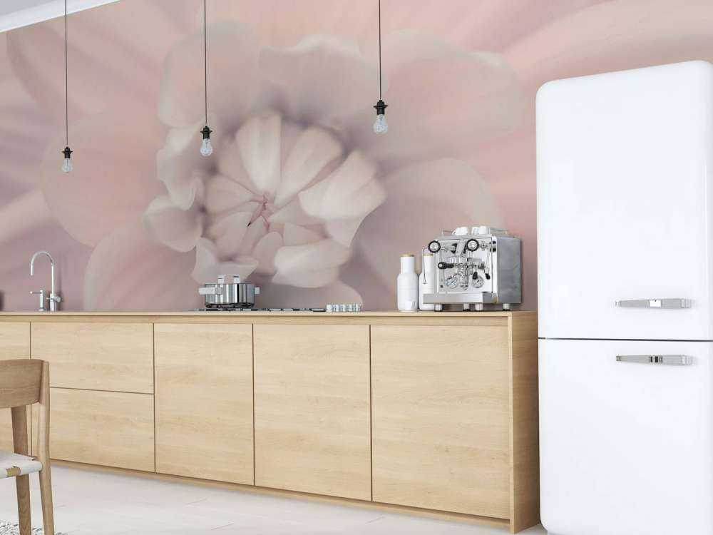 Różowy kwiat dalii