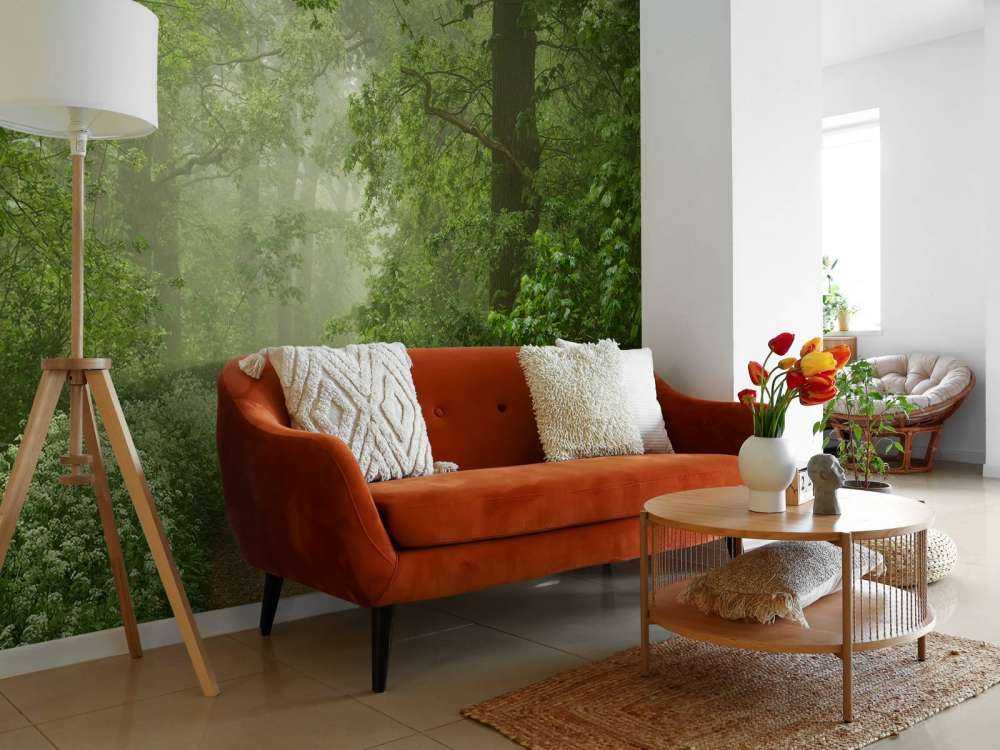 Mglisty las z drogą