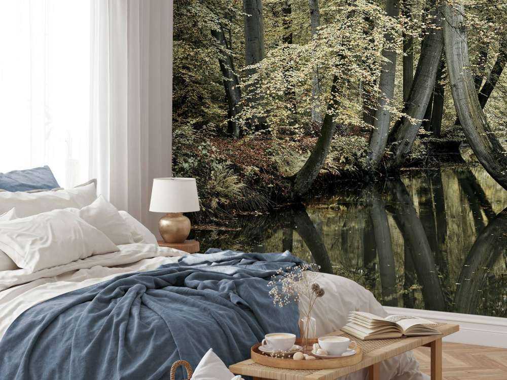 Strumień z wiszącymi drzewami