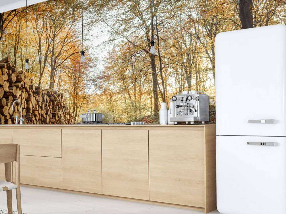 Pnie drzew w jesiennym lesie