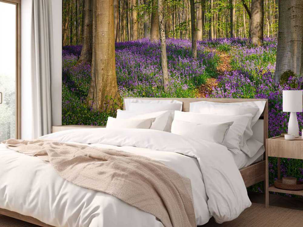 Ścieżka przez las z hiacyntami