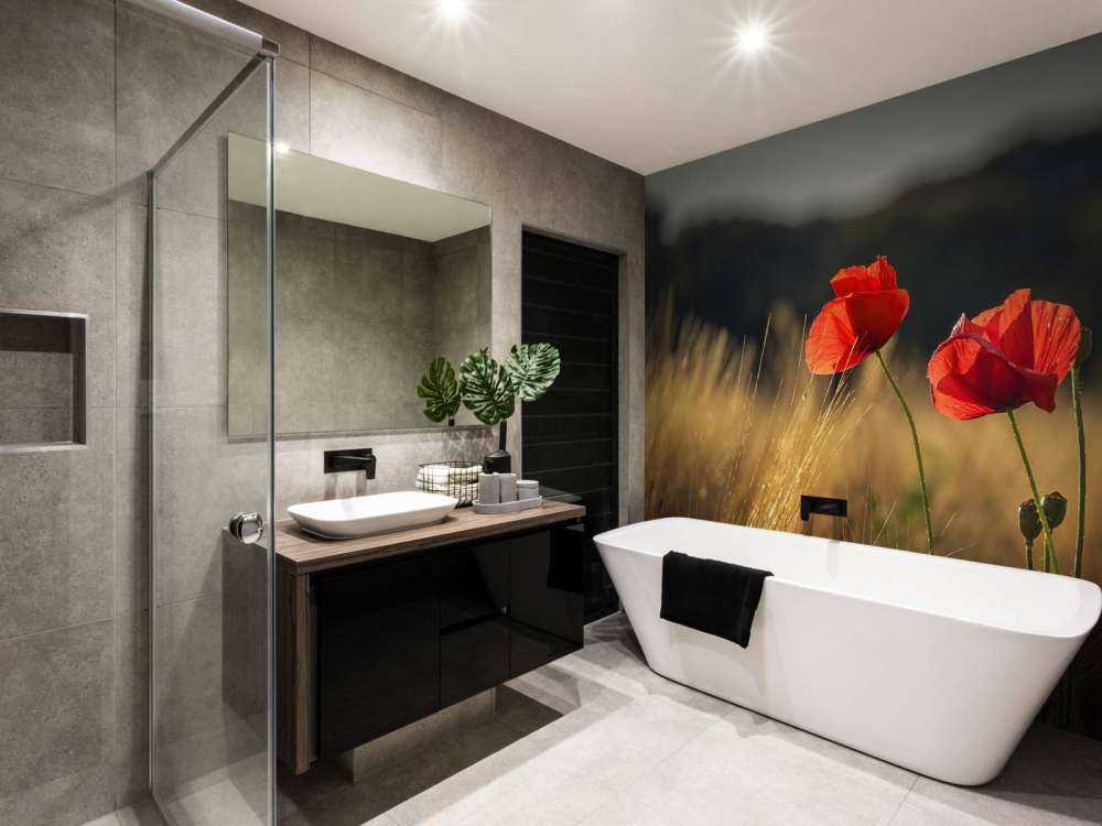 Maki na polu pszenicy