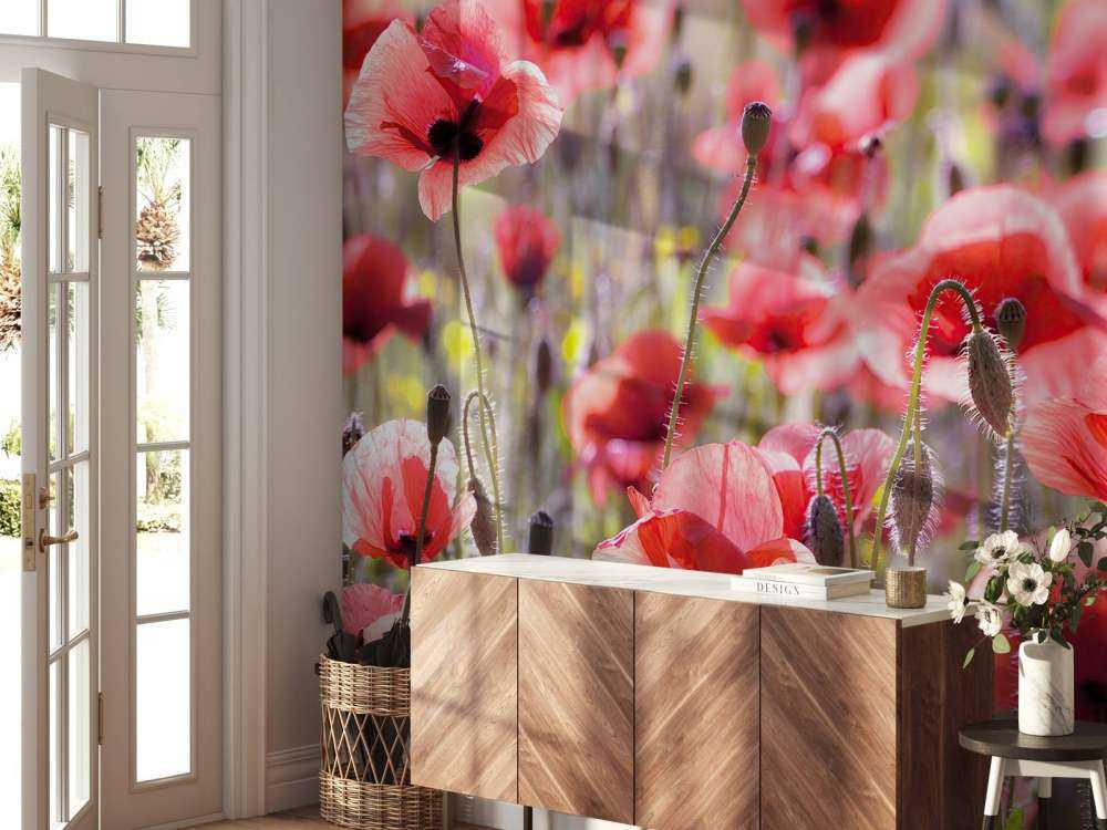 Maki o klasycznym wyglądzie