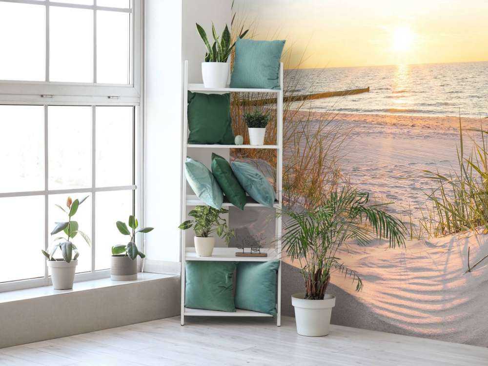 Plaża wydmowa przy zachodzie słońca