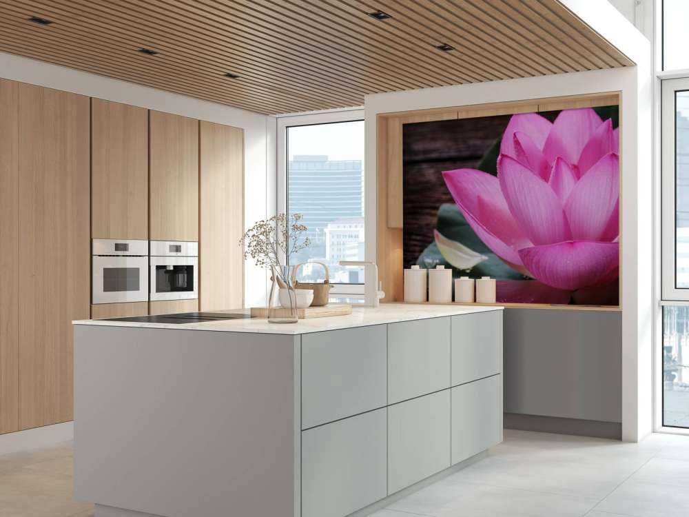 Zbliżenie różowy lotos