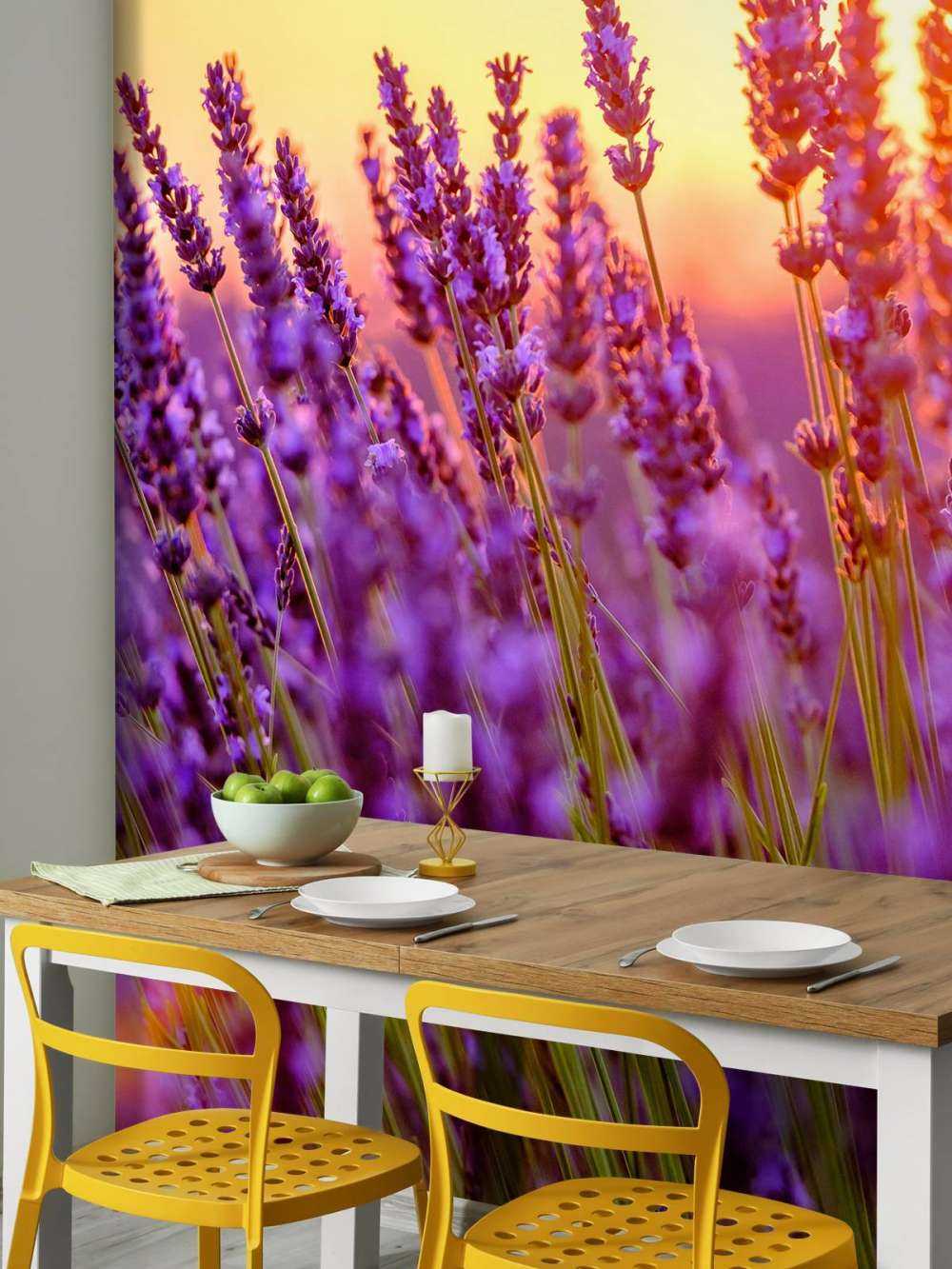 Lawenda w zbliżeniu