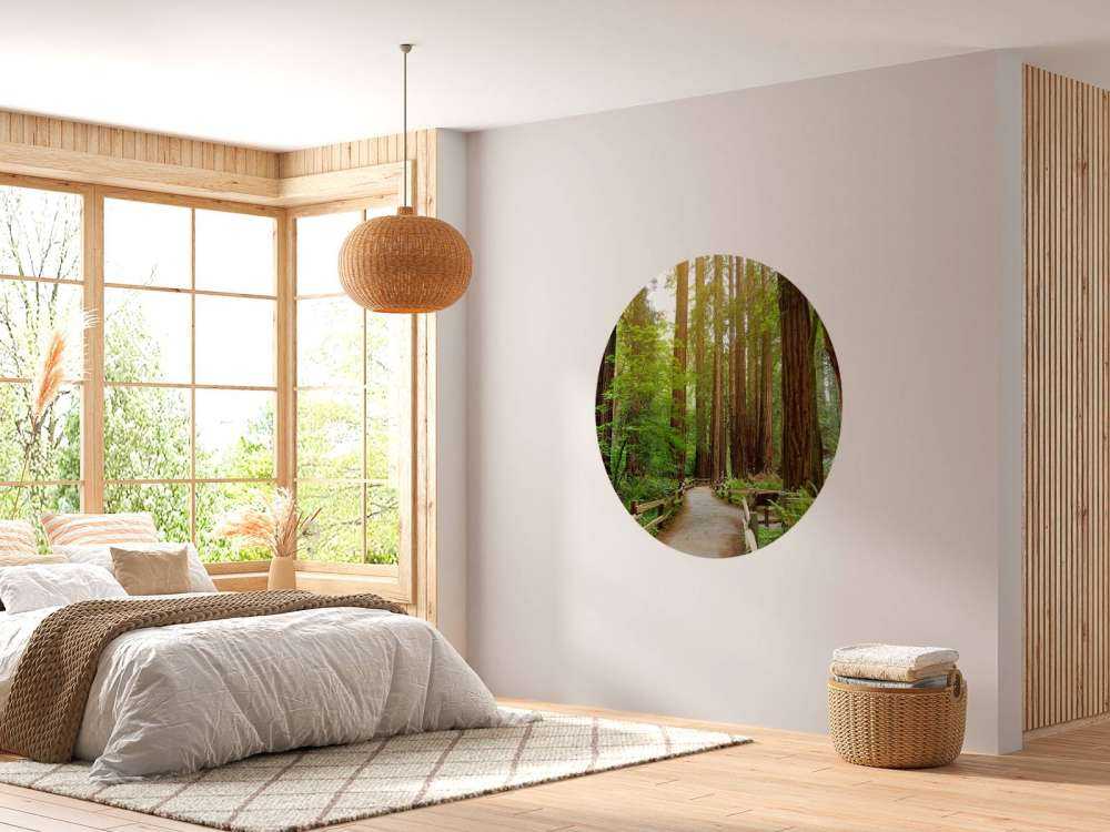 Wysokie drzewa w parku